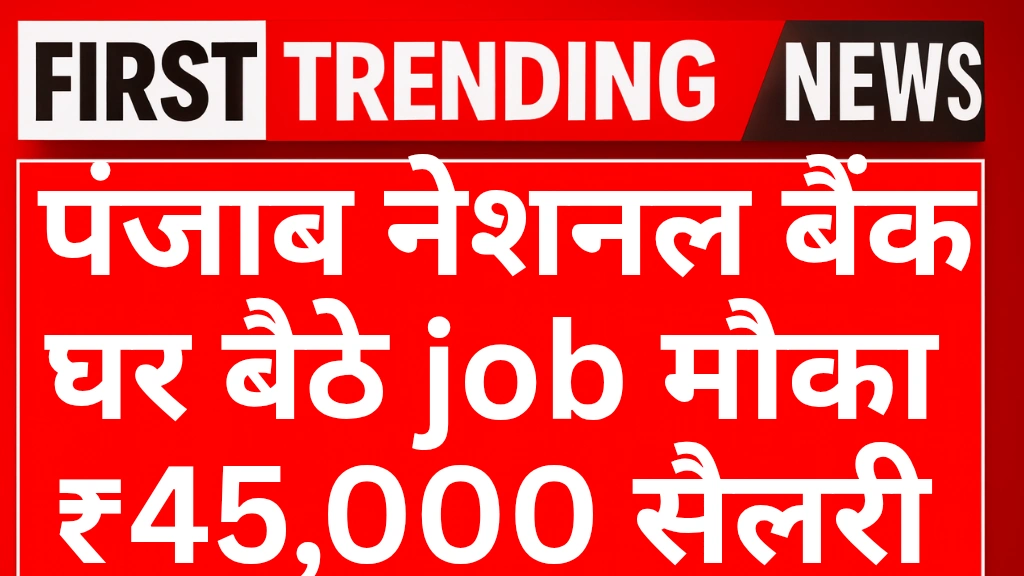 Punjab National Bank Work From Home 2025